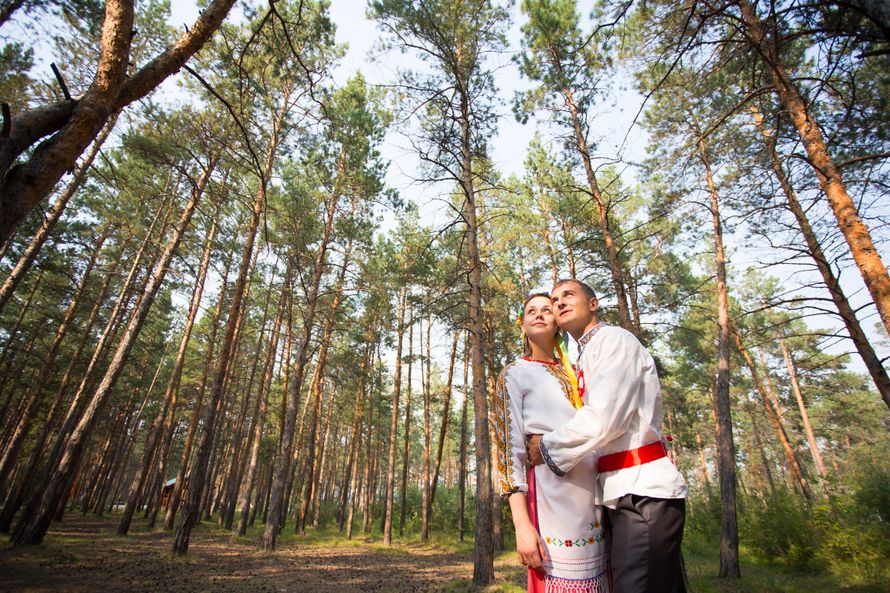 Жених и несеста стоят, обнявшись, в сосновом лесу - фото 3216669 Студия Knopick - видеосъемка