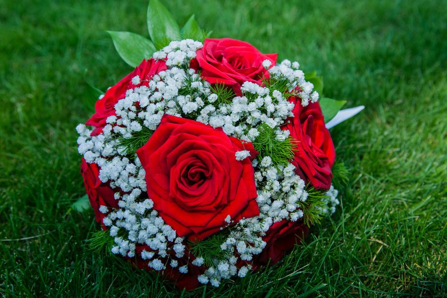 Букет невесты из зелени, красных роз и белой гипсофилы  - фото 3383013 Видеограф Благовестникова Любовь