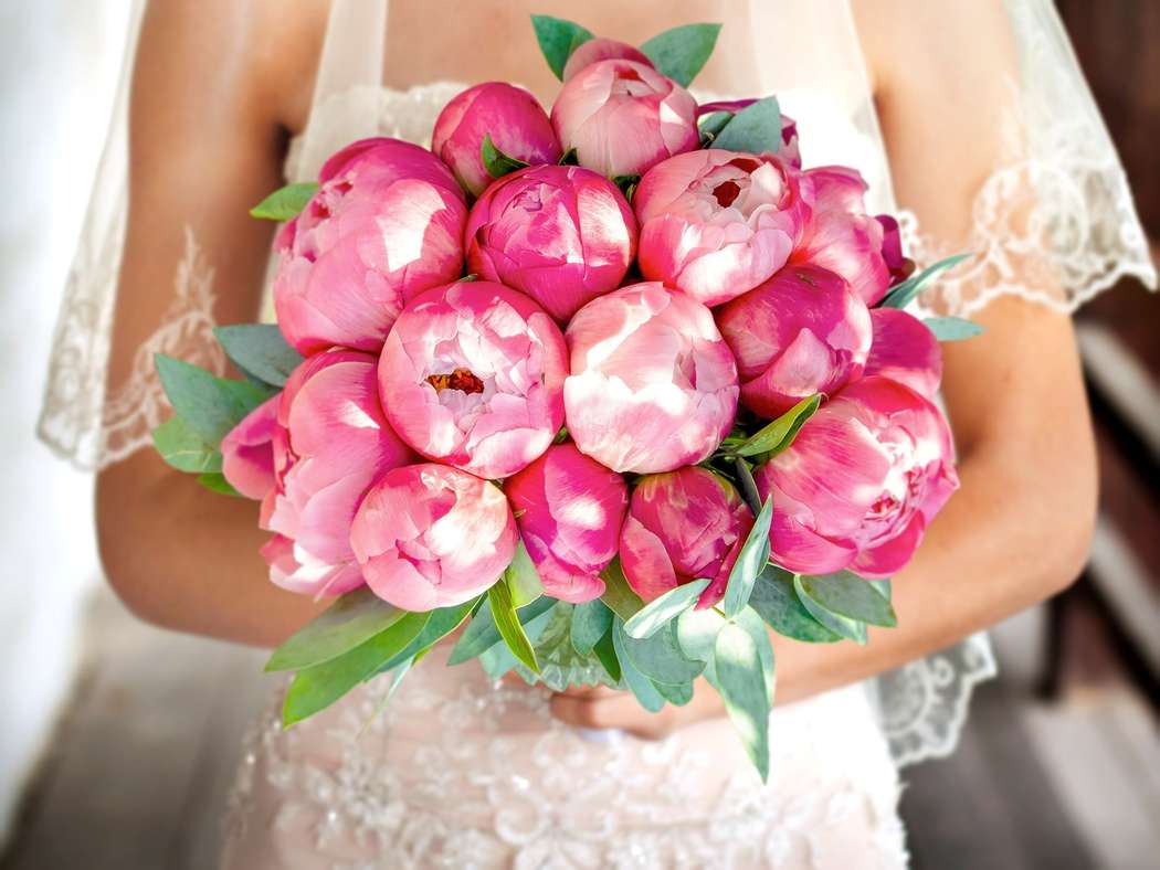 Букет невесты из розовых пионов и зеленого эвкалипта  - фото 3435763 Невеста01