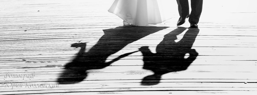 Фото 3546767 в коллекции Портфолио - Фотограф Юрий Козловский