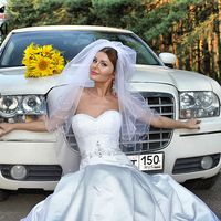 Подсолнухи