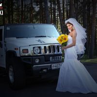 Подсолнухи