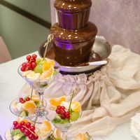 Шоколадный фонтан и фруктовое ассорти 
