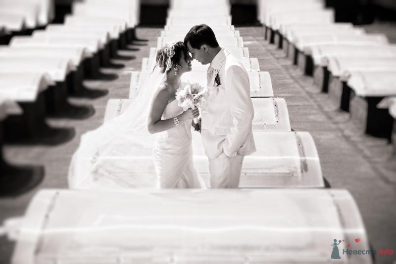 Жених и невеста стоят, прислонившись друг к другу, в ряде белых столов - фото 49439 Свадебные аксессуары by Оксана Karamelnaya