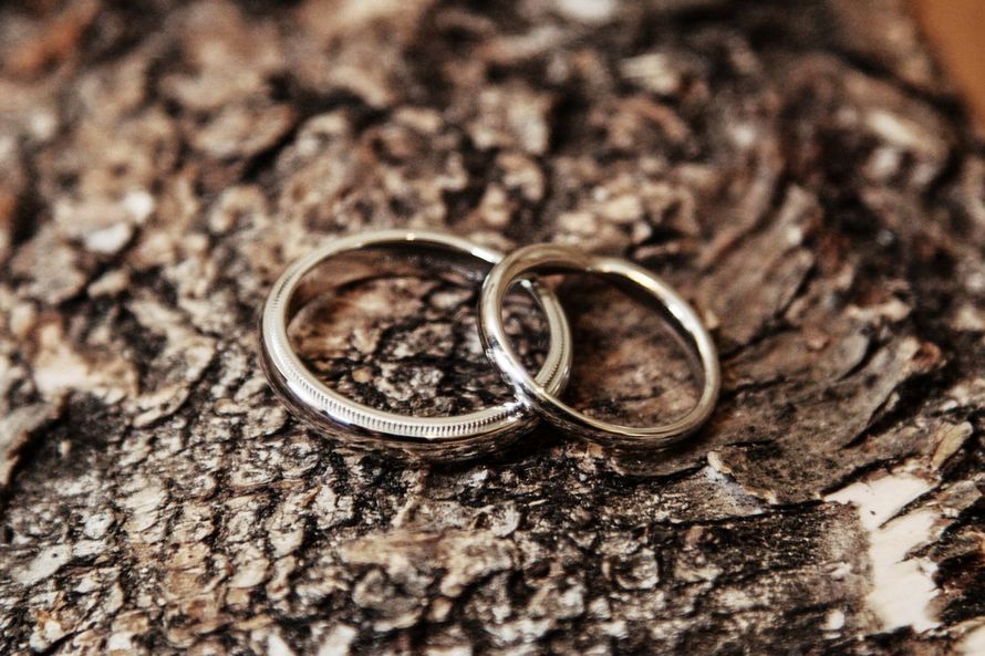 Обручальные кольца из желтого золота на фоне древесной коры. - фото 3106085 Ведущий на свадьбу Валерий Чигинцев