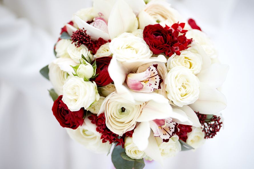 Фото 15164578 в коллекции Виталий и Светлана - Слава Гребенкин - фотограф