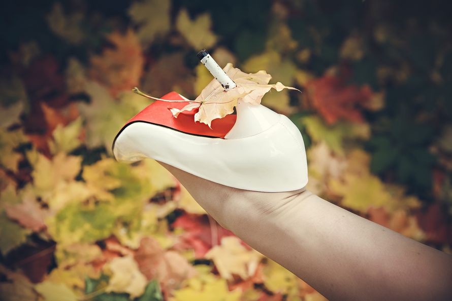 Фото 17304988 в коллекции Сентябрь. - Фотограф Надежда Шутина