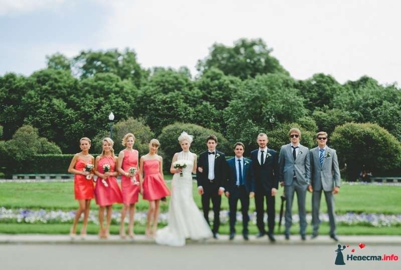 Подружки невесты с букетами в руках, в розовых коротких платьях, друзья жениха в праздничных костюмах, синих галстуках, стоят по - фото 484167 Lakric