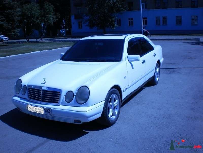 Белый Mercedes-Benz E 230 W210 - фото 318580  Avtosvadba - аренда автомобиля с водителем