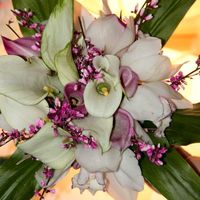букет невесты с орхидеями, каллами двух сортов и джениcтой от бутик собутий IDEA