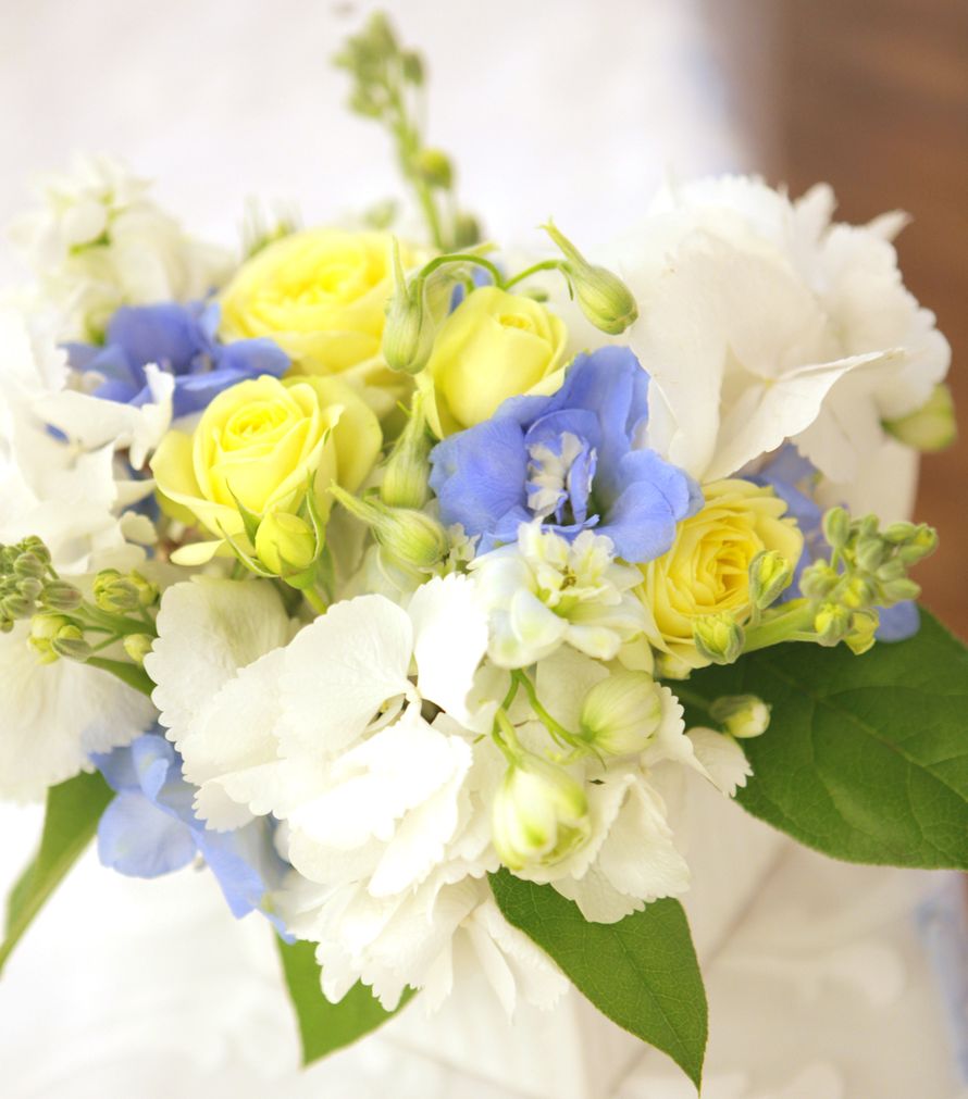 Фото 5397931 в коллекции Портфолио - Клумбару  - оформление свадеб цветами