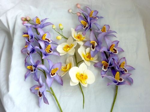 орхидеи фаленопсис и цимбидиум - фото 504061 Кондитер Софья Кружнова