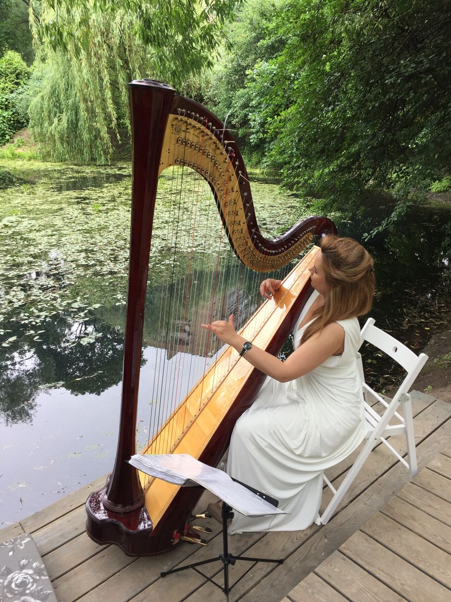 Андская арфа. Парагвайская арфа. Арфа фото. Арфа работа. Арфа греция.