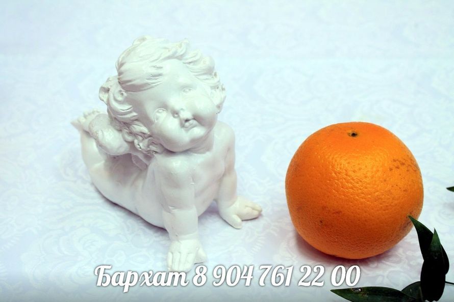 Фото 5936554 в коллекции Оранжевый апельсин - Студия декора "Бархат"