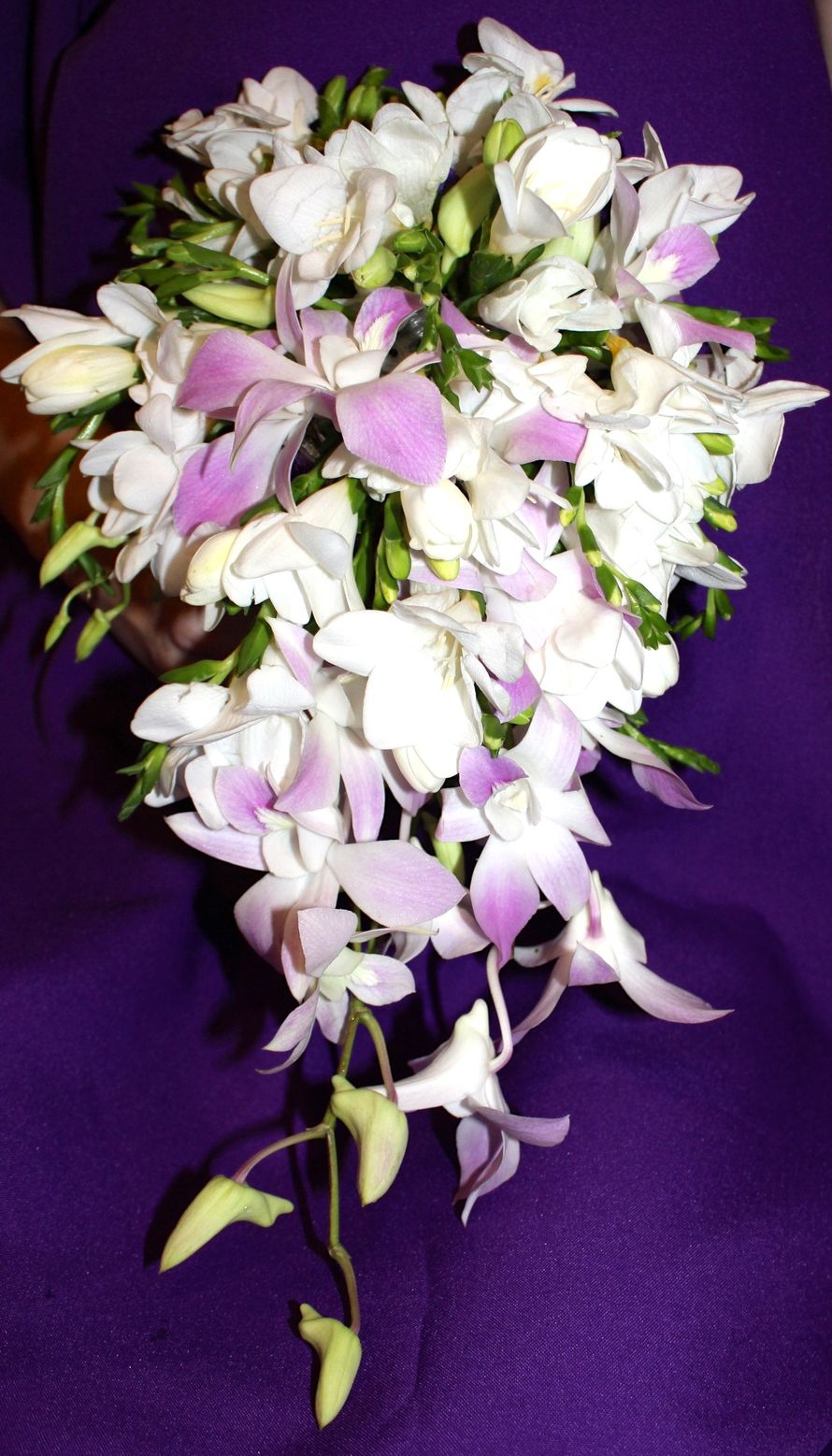 Фото 7127652 в коллекции Фиолетово-лиловая свадьба. - Арт-студия "Счастливы вместе"