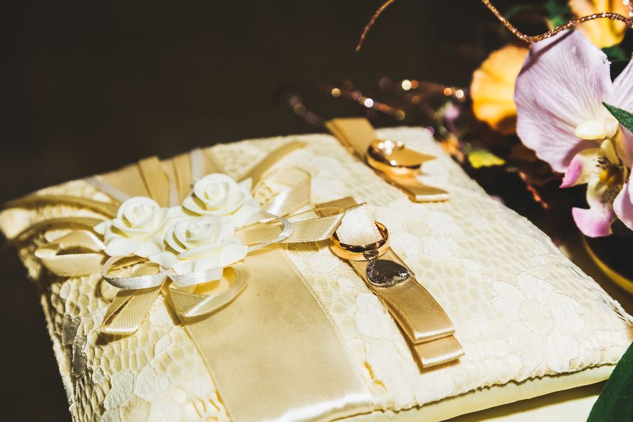 Фото 9874496 в коллекции 2015 2016 - Фотограф Андрей Ошкуков 