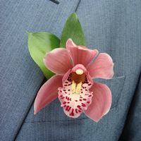 Бутоньерка жениха - орхидея
