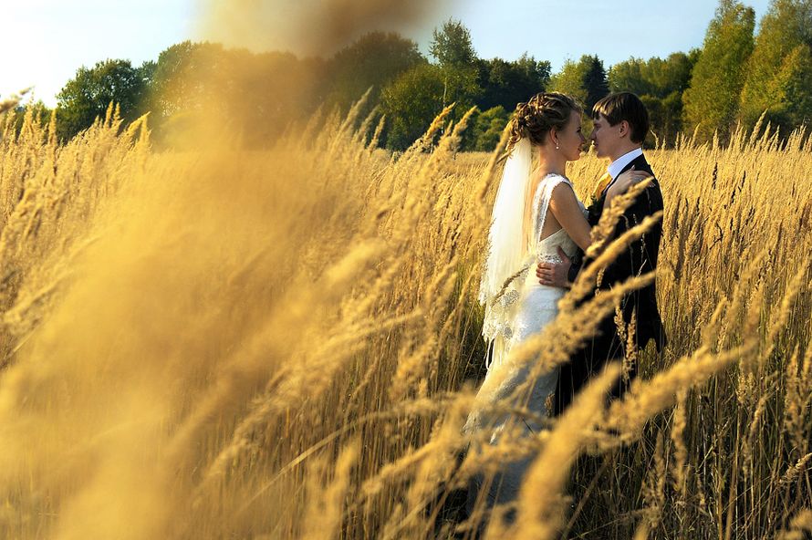 Фотограф московская область. Профессиональные фотографы россии. Красивые места в электростали для фотосессии. Иосифо-волоцкий монастырь мрачный. Свадьба.