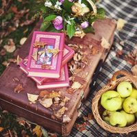 коломенское, яблоневый сад, пикник, осень, книги, чемодан, яблоки