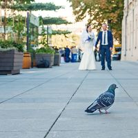 #фотографДнепропетровск #семейныйфотографДнепропетровск #детскийфотографДнепропетровск #вожиданиичуда #9месяцев #Свадебнаяфотосъемка #Lovestory #Портфолио #Детскиесемейныефотосессии #Съемкановорожденных #Репортаж #Рекламнаясъемка (063)935-13-35