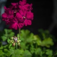 #фотографДнепропетровск #семейныйфотографДнепропетровск #детскийфотографДнепропетровск #вожиданиичуда #9месяцев #Свадебнаяфотосъемка #Lovestory #Портфолио #Детскиесемейныефотосессии #Съемкановорожденных #Репортаж #Рекламнаясъемка (063)935-13-35