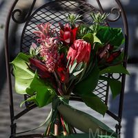 Свадебное агентство в Киеве MuZa-wedding