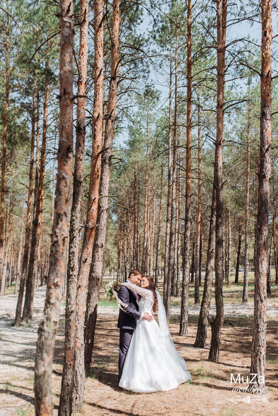 Фото 15965888 в коллекции Свадебная церемония в лесу - Свадебное агентство "Muza-wedding"