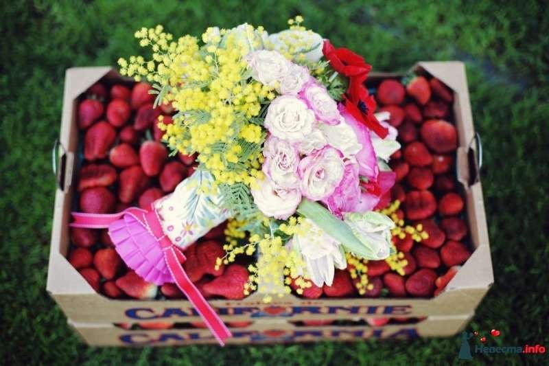 Букет невесты из розовых роз и желтых веточек мимозы, красных и белых анемонов, декорированный розовыми и белыми лентами   - фото 453536 Dianaka