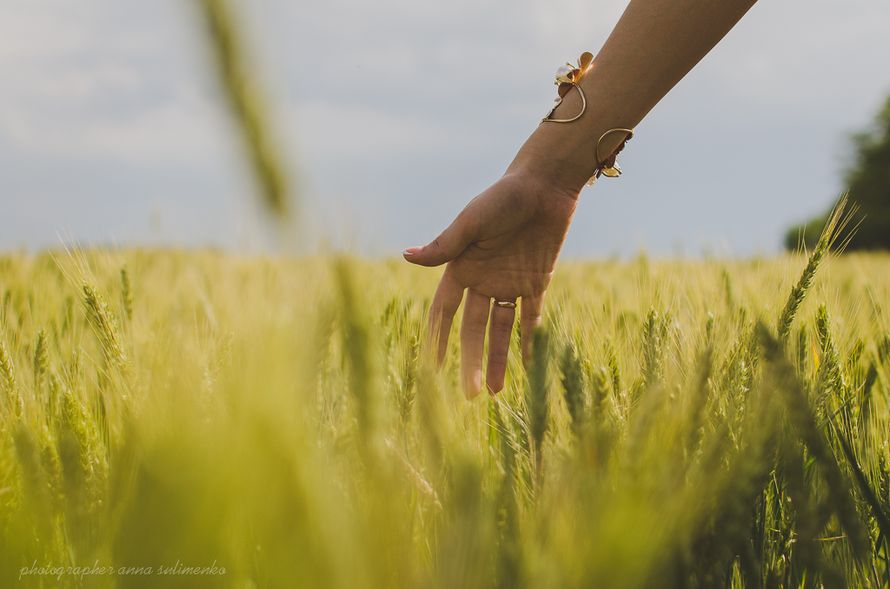 Фото 1160523 в коллекции Июнь. Пшеница. Свадьба. - Фотограф Анна Сулименко