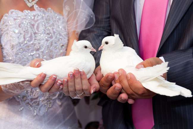 Голуби на свадьбу - фото 10405718 Голуби для свадьбы Dovelove