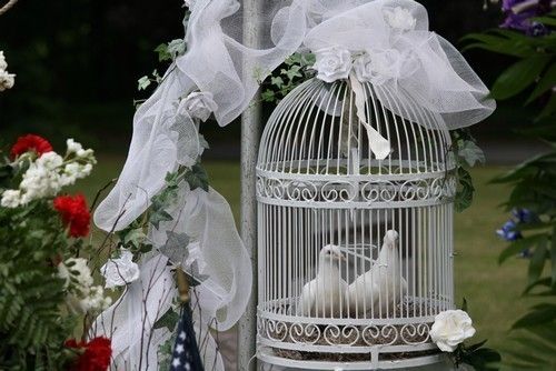 Голуби для выпуска на свадьбе