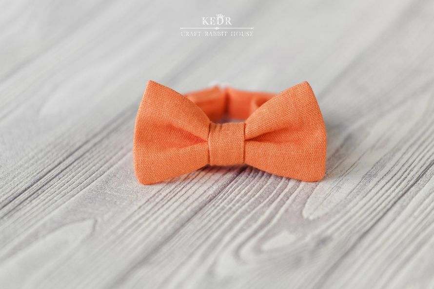детская галстук-бабочка (размер 4х8 см), объем воротника (25-42 см)
цвет: оранжевая
цена: 350 р. - фото 10570900 Авторская мастерская аксессуаров Kedr