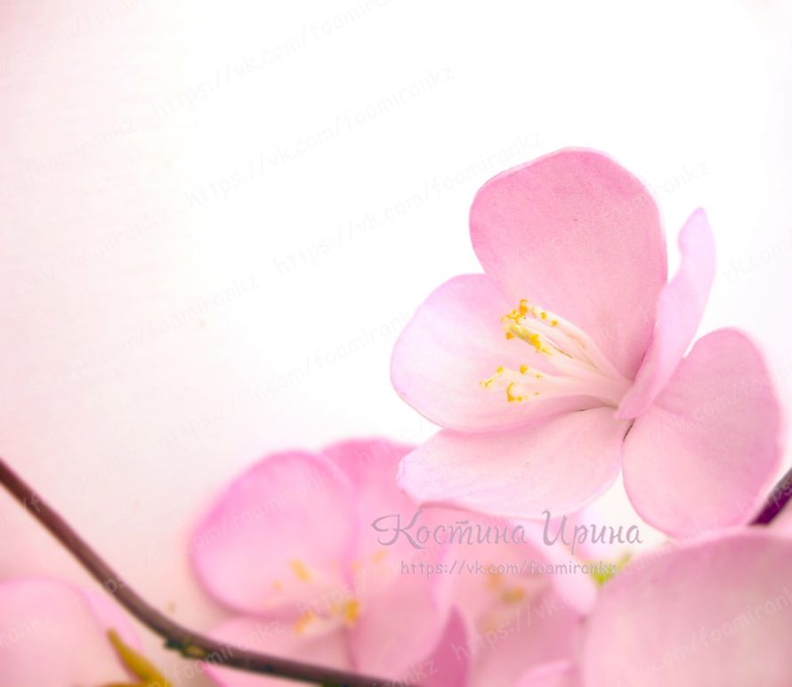 Весенняя сакура - фото 10863802 Цветочные украшения Ирины Костиной