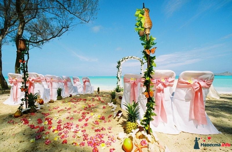 Фото 483089 в коллекции Красивые места - Организация свадеб - Your Sweet Wedding