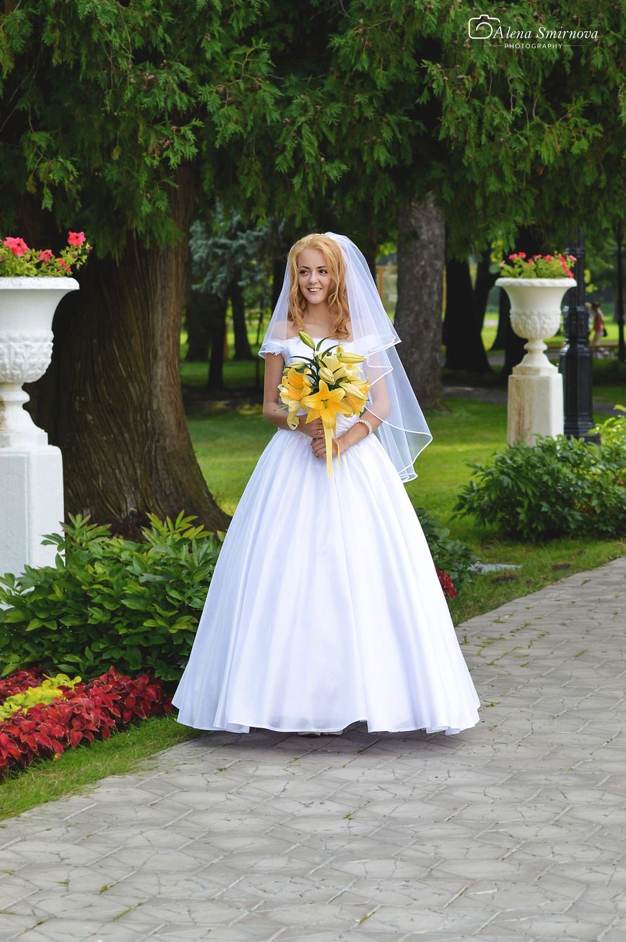 Фото 11862566 в коллекции Wedding (2) - Фотограф Алена Смирнова