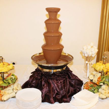 Шоколадный фонтан на 40-50 гостей