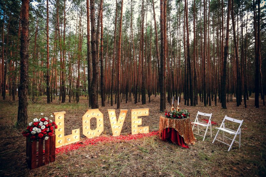 Фото 14753870 в коллекции Оформление выездной церемонии. Банкет. Флористика - Студия декора Ирины Демидович