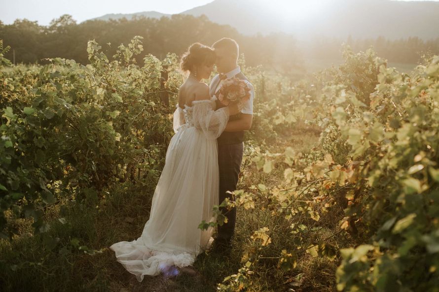Организация свадьбы на виноградниках