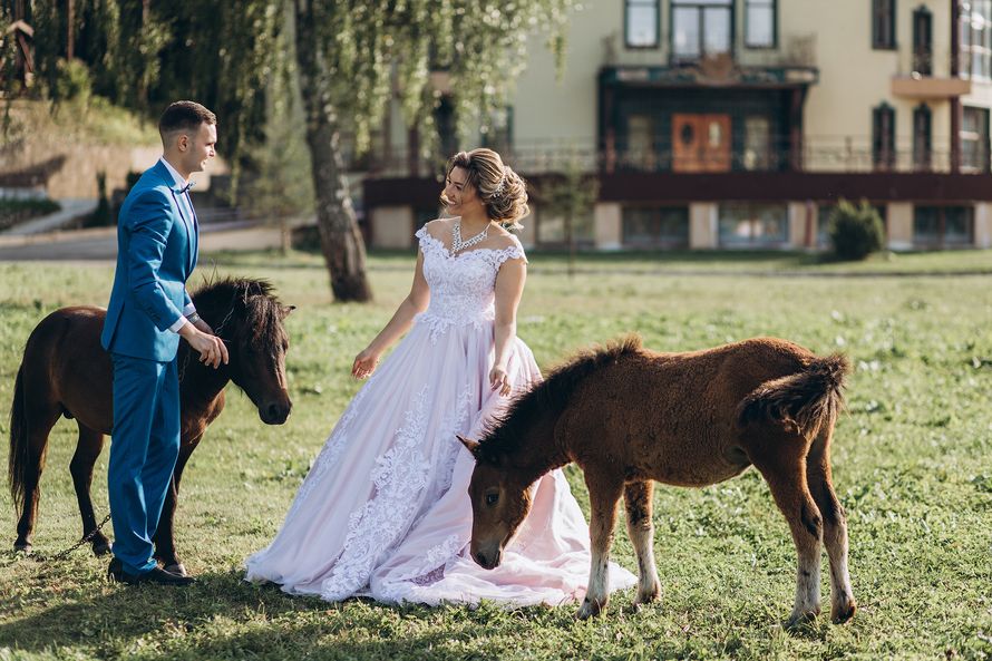 Фото 18339238 в коллекции Портфолио - Фотограф Жукова Дарья