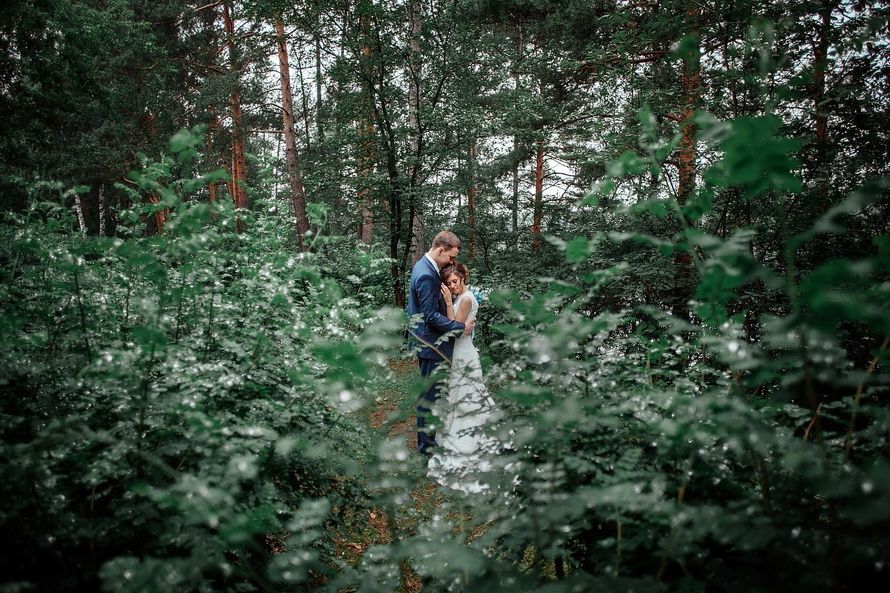 wedding | season 2015
photographers - Ольга Шульга & Сергей Шульга - фото 10901930 Фотограф Ольга Шульга
