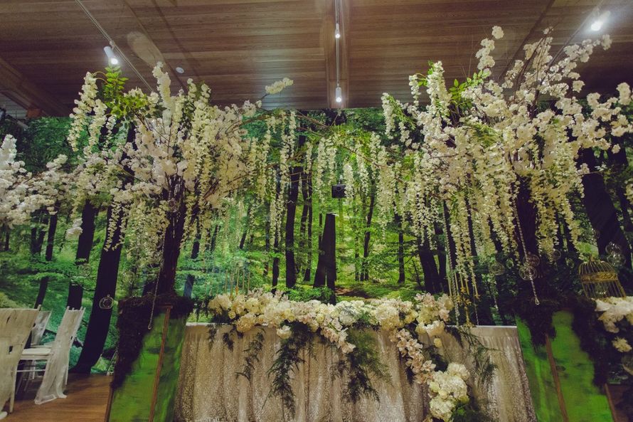 Фото 16496882 в коллекции "Сказочный лес" для Константина и Ирины, 03.07.2015г. - Happy people - свадебное агентство