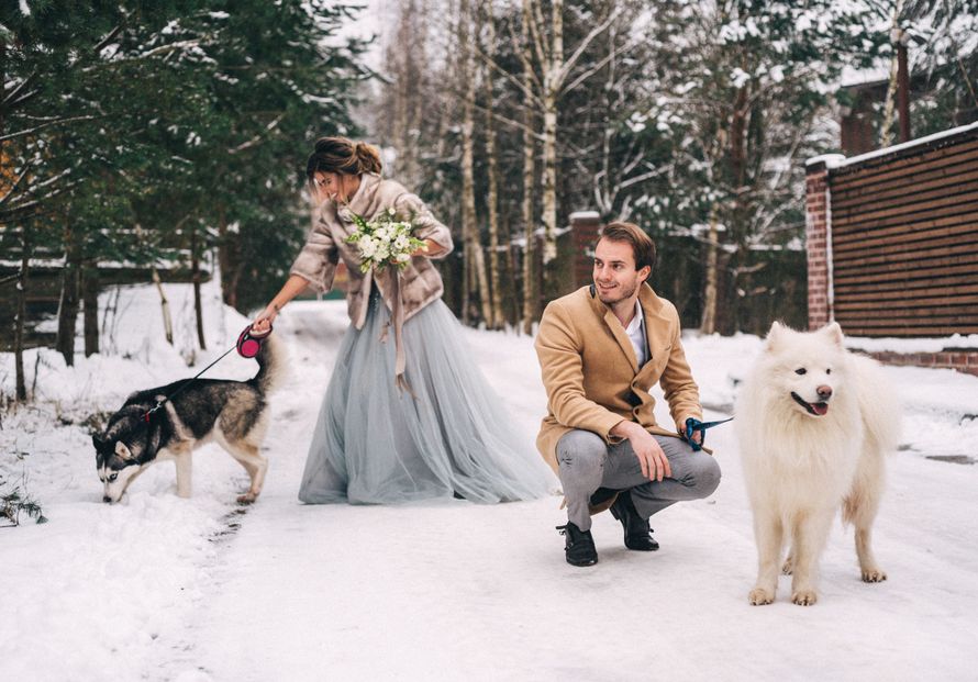 Фото 16740258 в коллекции Ксюша и Алексей 21.12.2017 - Фотограф Юля Каменская