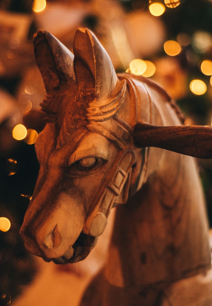 Фото 16740262 в коллекции Ксюша и Алексей 21.12.2017 - Фотограф Юля Каменская