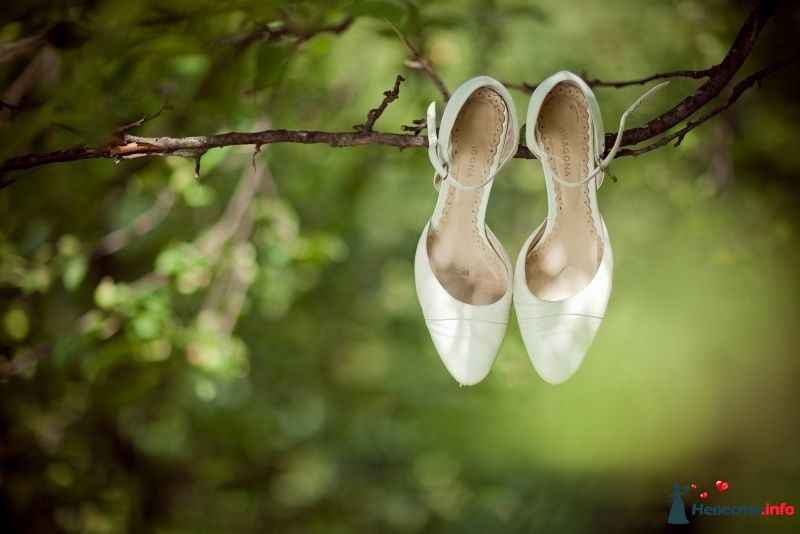 Белые туфли, застежка вокруг ноги, висят на ветки. - фото 286404 Фотограф Анна Овчинникова