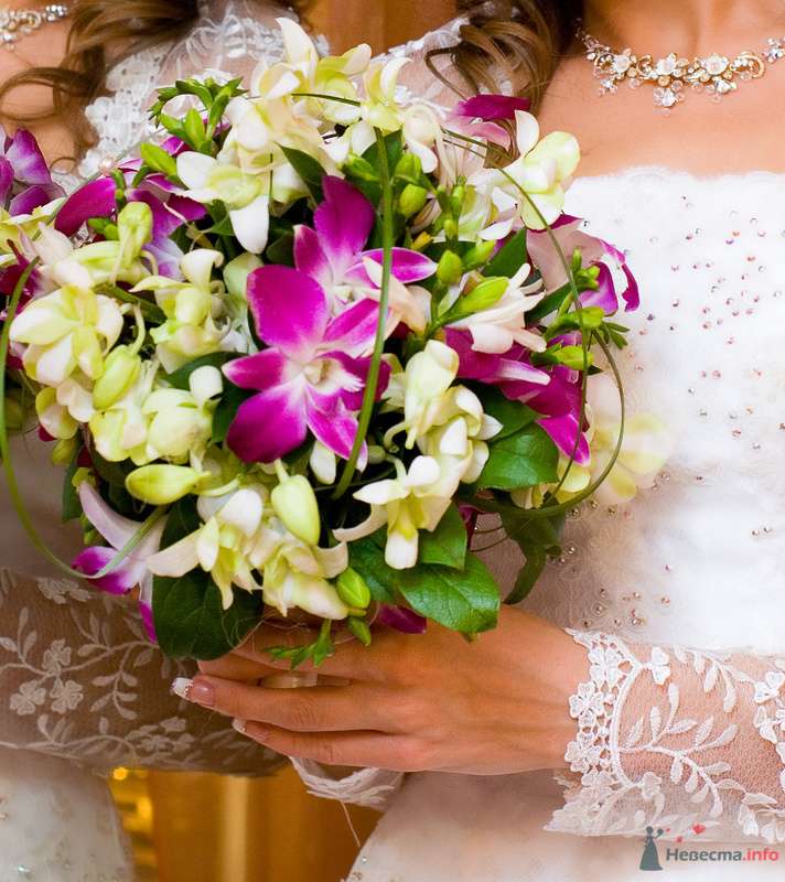 Круглый букет невесты из розовых орхидей и белых фрезий, декорированный зеленью и зеленым берграссом  - фото 73322 eDeLvEyS