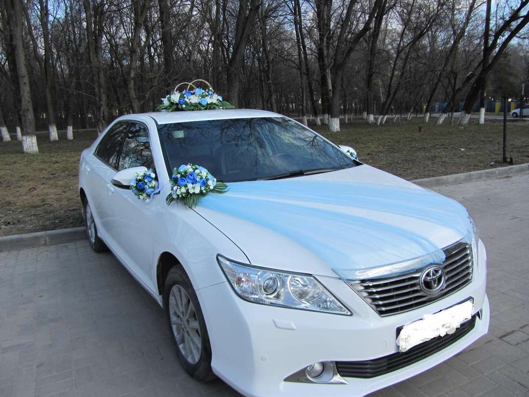 Фото 2029278 в коллекции Украшения для свадебного автомобиля. - «Автолюкс» - прокат автомобилей на свадьбу.