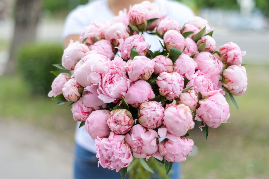 Фото 17594352 в коллекции Лучший цветочный сервис - ValentaFlowers.ru
