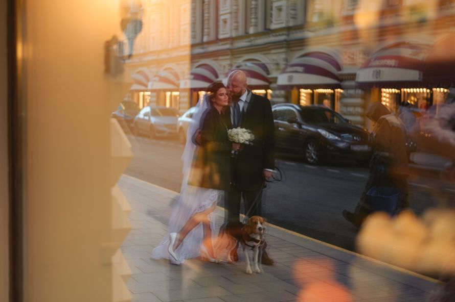Фотограф Данилов Михаил, Фотограф Домодедово, Фотограф на свадьбу в Домодедово - фото 20502251 Фотограф Данилов Михаил
