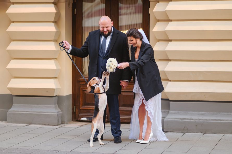 Фотограф Данилов Михаил, Фотограф Домодедово, Фотограф на свадьбу в Домодедово - фото 20502255 Фотограф Данилов Михаил