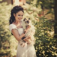 Портрет невесты с котом